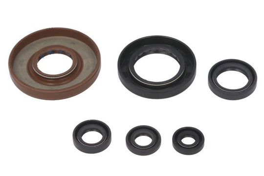 Set garnituri pentru motor WINDEROSA 822209