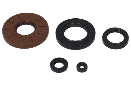 Set garnituri pentru motor WINDEROSA 822210