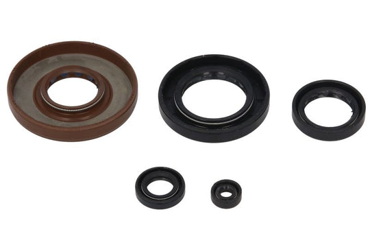 Set garnituri pentru motor WINDEROSA 822210