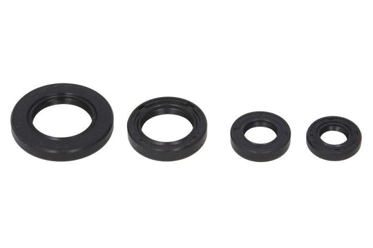 Set garnituri pentru motor WINDEROSA 822211 
