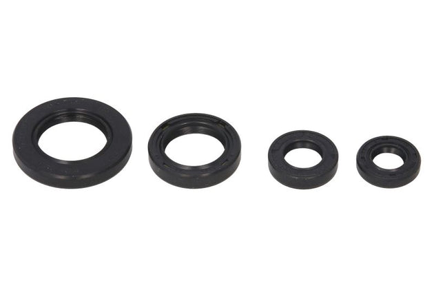 Set garnituri pentru motor WINDEROSA 822211 