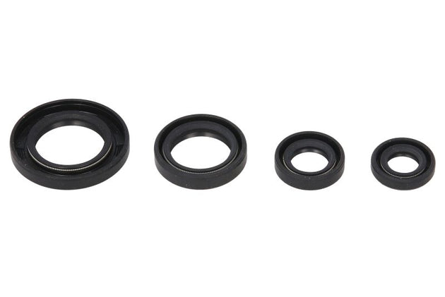 Set garnituri pentru motor WINDEROSA 822211 