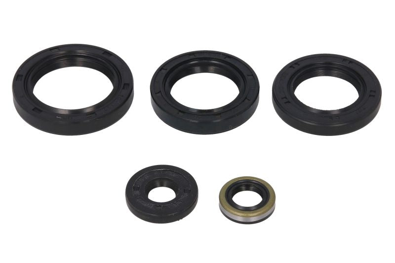 Set garnituri pentru motor WINDEROSA 822213 