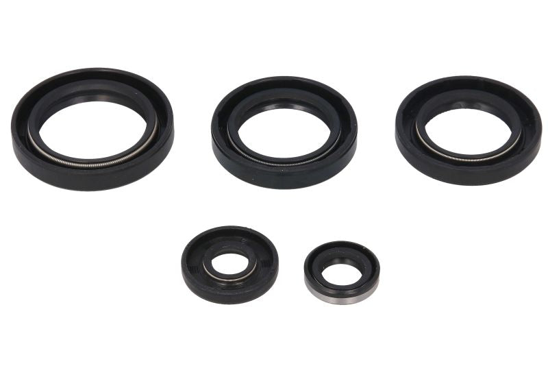 Set garnituri pentru motor WINDEROSA 822213 