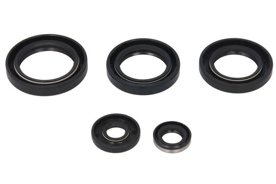 Set garnituri pentru motor WINDEROSA 822213 