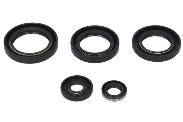 Set garnituri pentru motor WINDEROSA 822213 