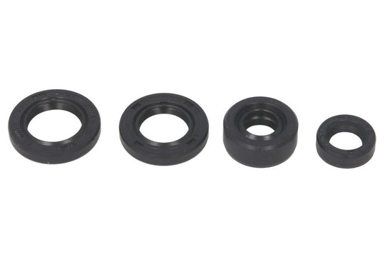 Set garnituri pentru motor WINDEROSA 822214 