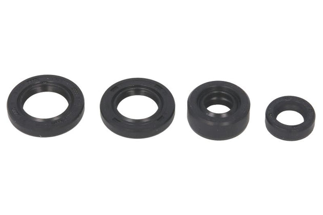 Set garnituri pentru motor WINDEROSA 822214 