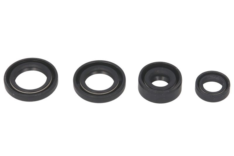 Set garnituri pentru motor WINDEROSA 822214 