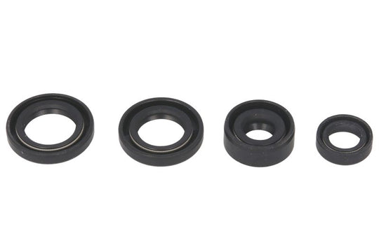 Set garnituri pentru motor WINDEROSA 822214 