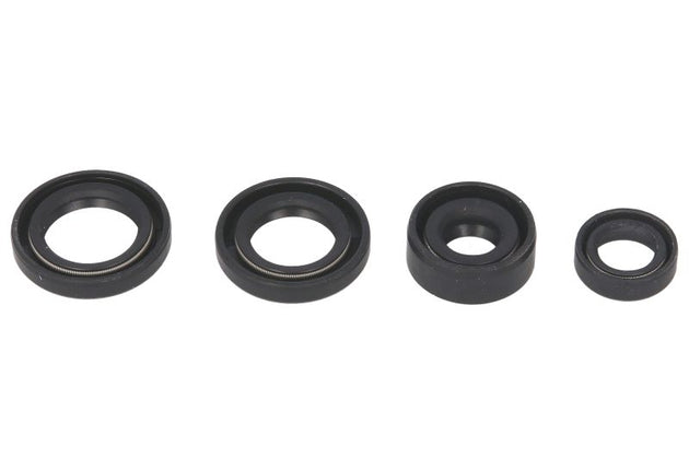 Set garnituri pentru motor WINDEROSA 822214 