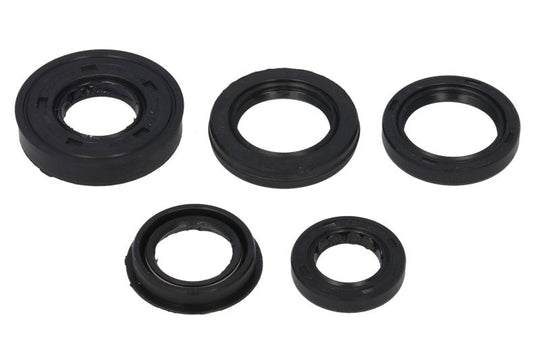 Set garnituri pentru motor WINDEROSA 822217 