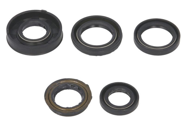 Set garnituri pentru motor WINDEROSA 822217 