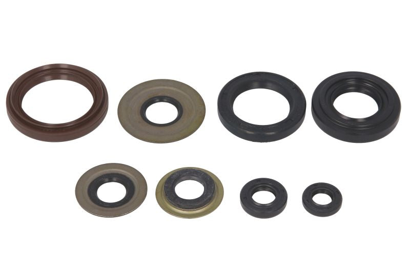 Set garnituri pentru motor WINDEROSA 822218 