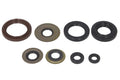 Set garnituri pentru motor WINDEROSA 822218 