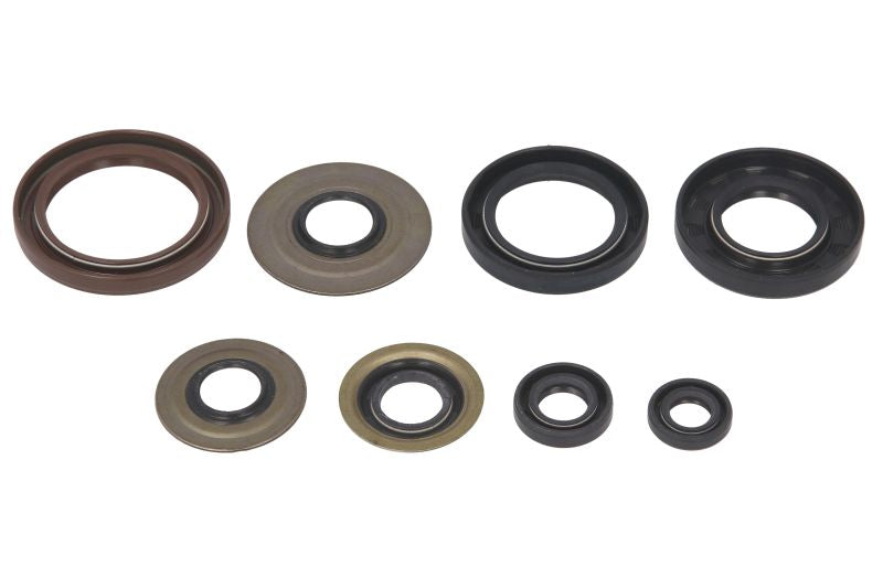 Set garnituri pentru motor WINDEROSA 822218 