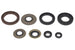 Set garnituri pentru motor WINDEROSA 822218 