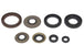 Set garnituri pentru motor WINDEROSA 822218 