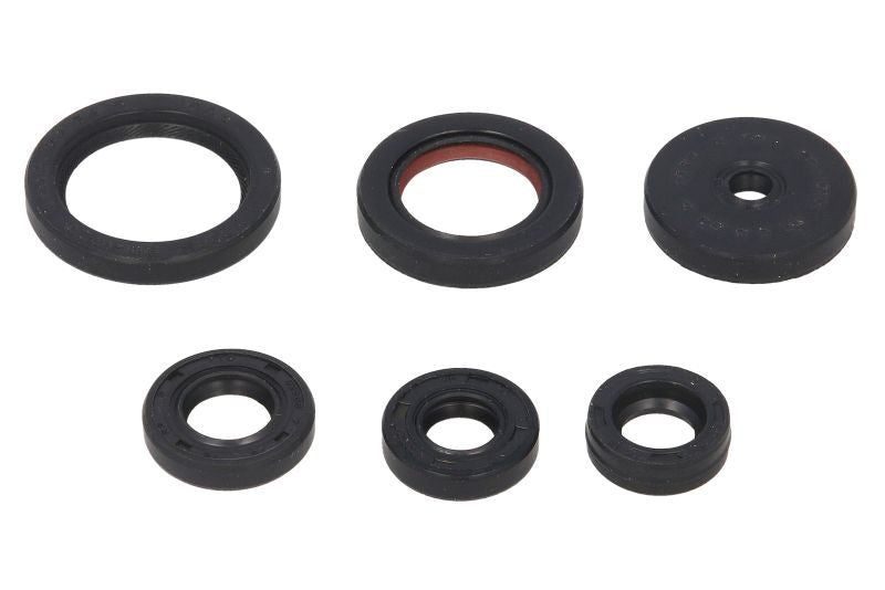 Set garnituri pentru motor WINDEROSA 822229 