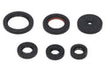 Set garnituri pentru motor WINDEROSA 822229 