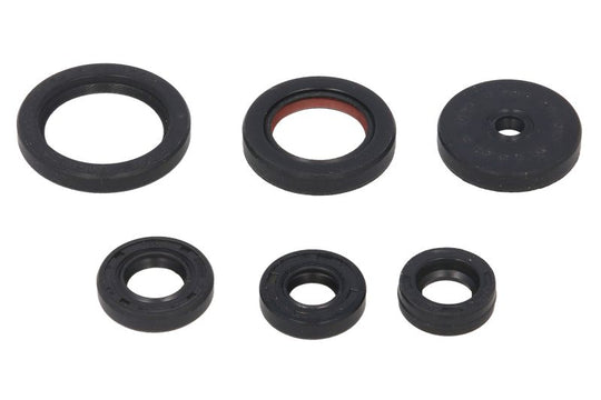 Set garnituri pentru motor WINDEROSA 822229 