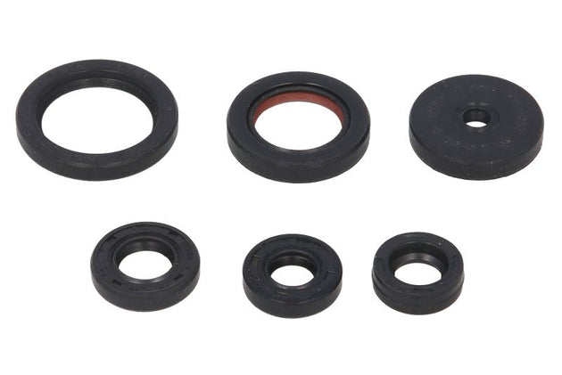 Set garnituri pentru motor WINDEROSA 822229 