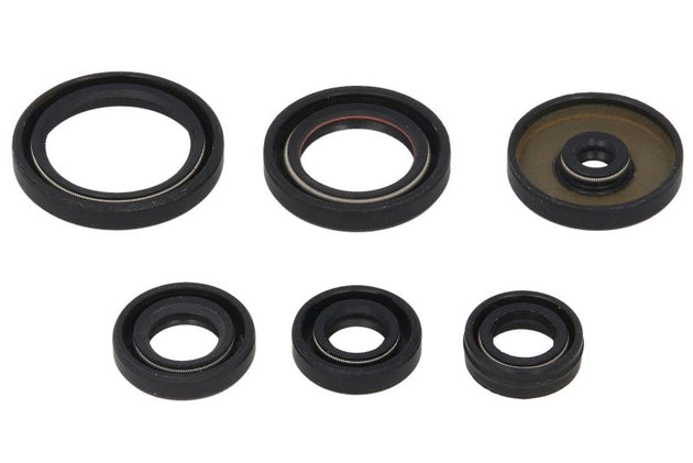 Set garnituri pentru motor WINDEROSA 822229 