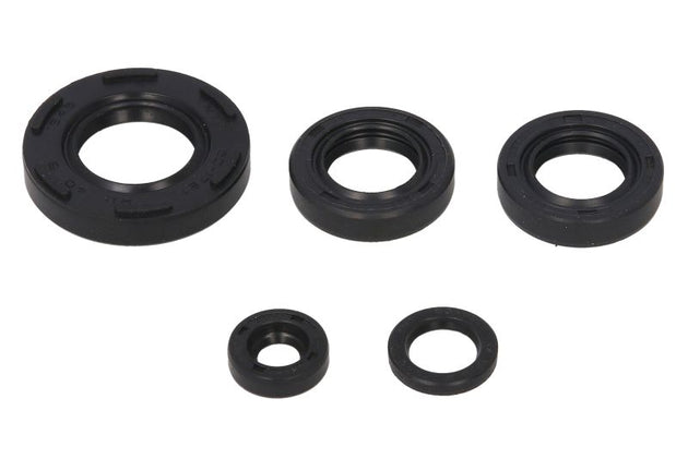 Set garnituri pentru motor WINDEROSA 822230