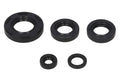 Set garnituri pentru motor WINDEROSA 822230 