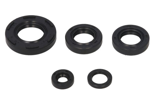 Set garnituri pentru motor WINDEROSA 822230 