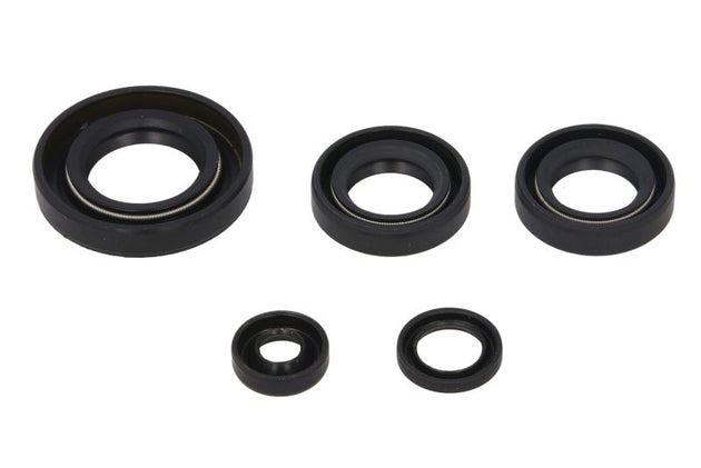 Set garnituri pentru motor WINDEROSA 822230