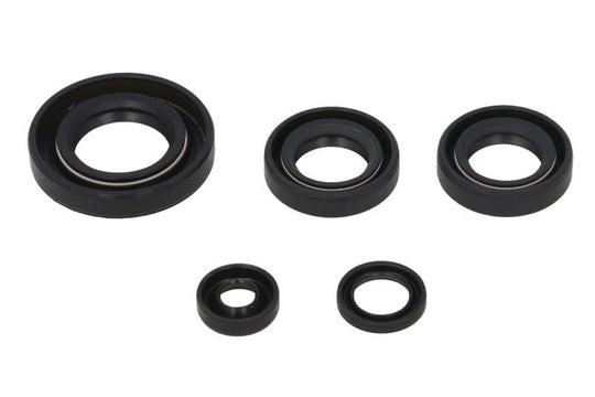 Set garnituri pentru motor WINDEROSA 822230 