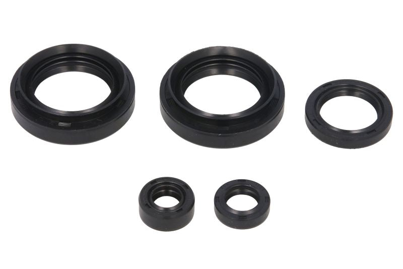 Set garnituri pentru motor WINDEROSA 822234 