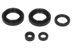Set garnituri pentru motor WINDEROSA 822234 