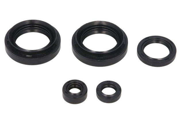 Set garnituri pentru motor WINDEROSA 822234 