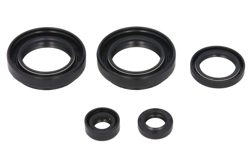 Set garnituri pentru motor WINDEROSA 822234 