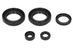 Set garnituri pentru motor WINDEROSA 822234 