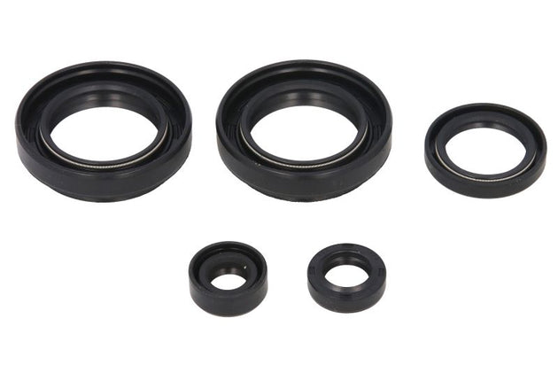 Set garnituri pentru motor WINDEROSA 822234 