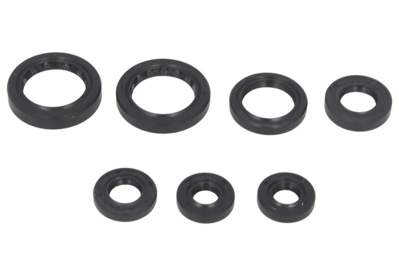 Set garnituri pentru motor WINDEROSA 822236 