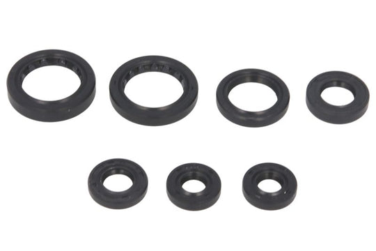 Set garnituri pentru motor WINDEROSA 822236 
