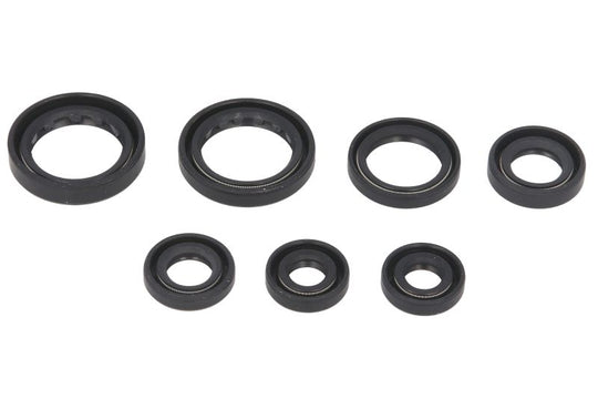 Set garnituri pentru motor WINDEROSA 822236 