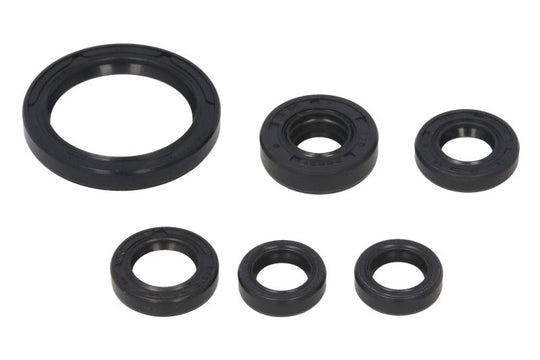 Set garnituri pentru motor WINDEROSA 822238 