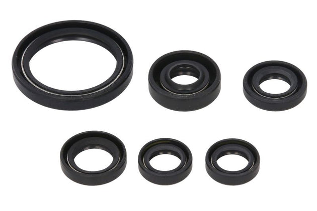 Set garnituri pentru motor WINDEROSA 822238