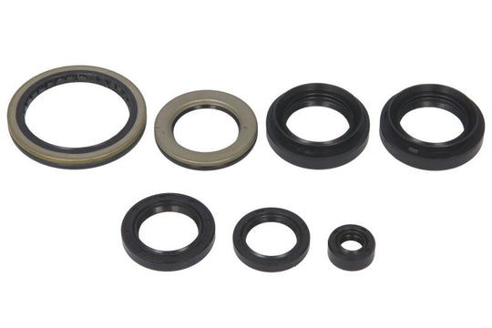 Set garnituri pentru motor WINDEROSA 822239