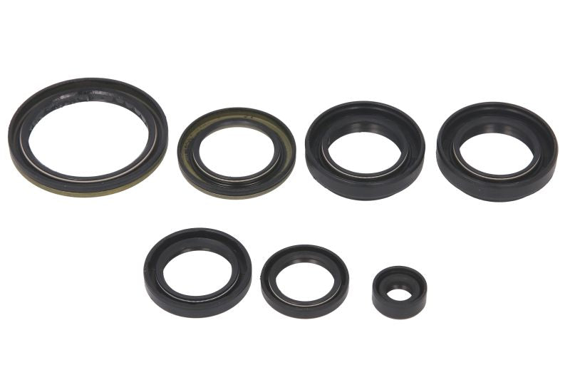 Set garnituri pentru motor WINDEROSA 822239 