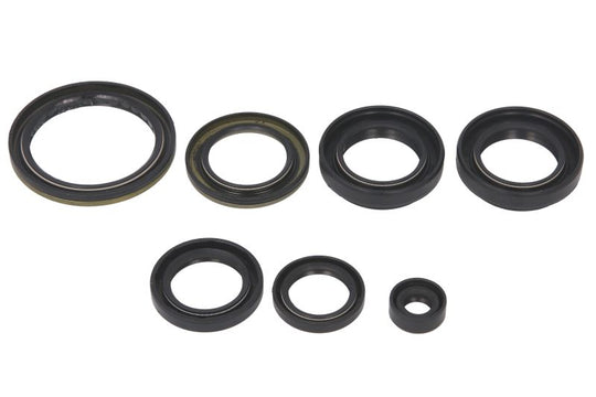 Set garnituri pentru motor WINDEROSA 822239 