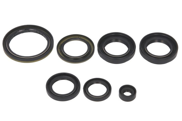 Set garnituri pentru motor WINDEROSA 822239 