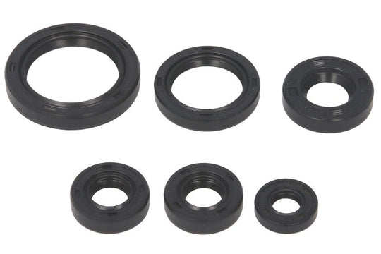 Set garnituri pentru motor WINDEROSA 822241 
