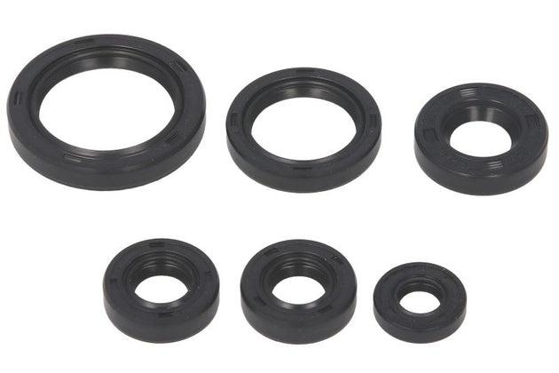 Set garnituri pentru motor WINDEROSA 822241 