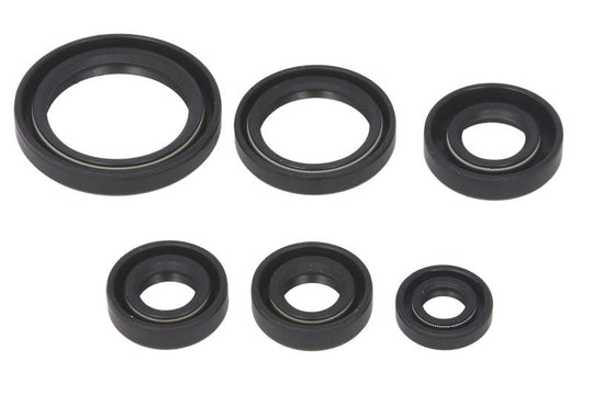 Set garnituri pentru motor WINDEROSA 822241 